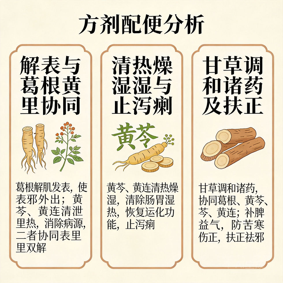 葛根黃芩黃連湯