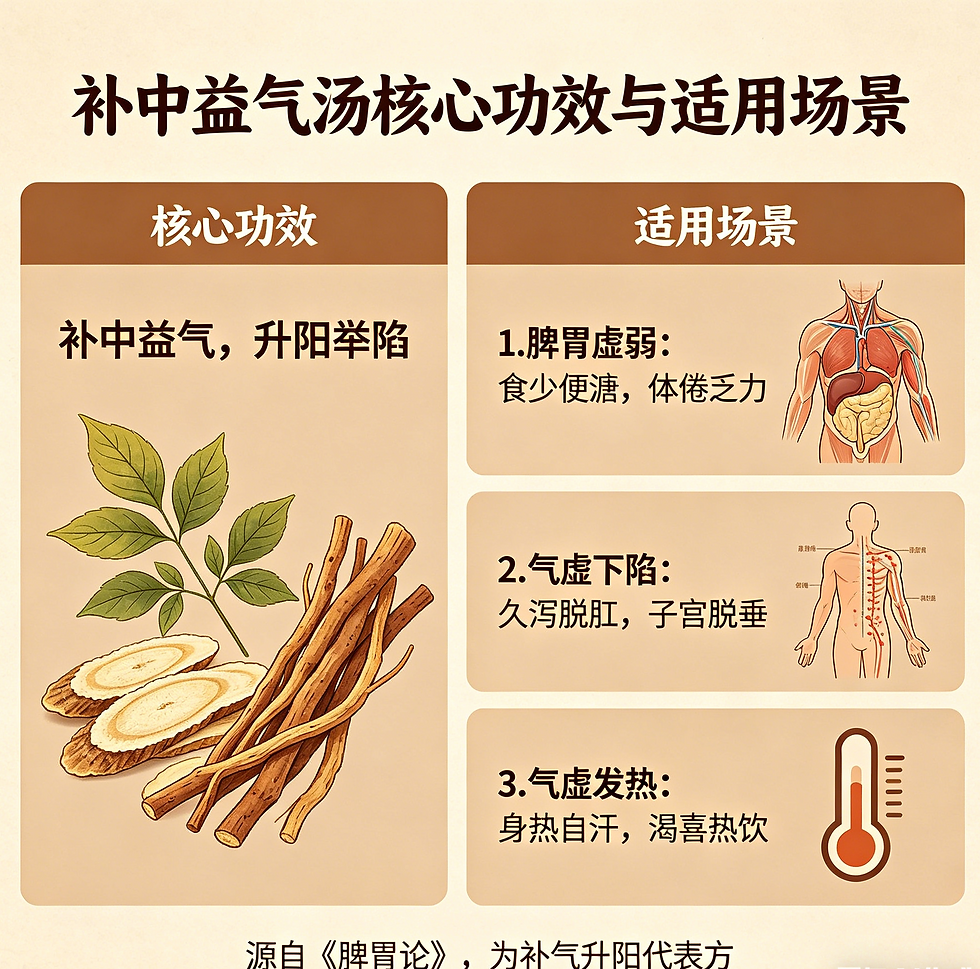 脾胃虛弱