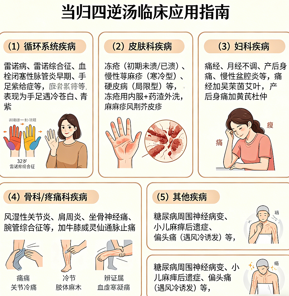 溫經通脈第一方：當歸四逆湯