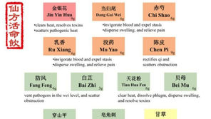 Xian Fang Huo Ming Yin: A TCM Formula for Clearing Heat, Detoxifying, and Relieving Swelling and Pain