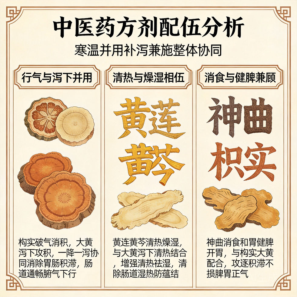 枳實導滯丸