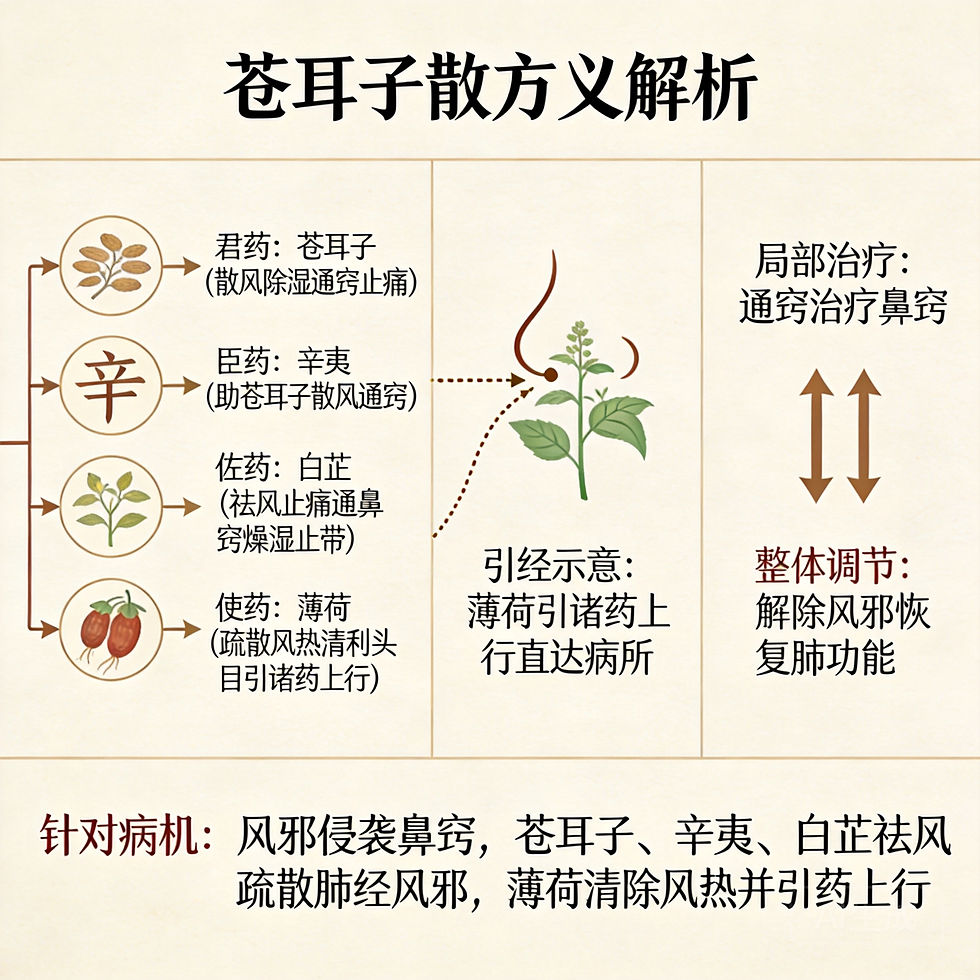 蒼耳子散詳解:散風通竅、治療鼻淵的經典名方