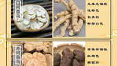 烏髮、補肝腎、益精血:何首烏的功效與品種鑒別