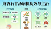 麻杏甘石湯:清熱宣肺、止咳平喘的傳統良方解析