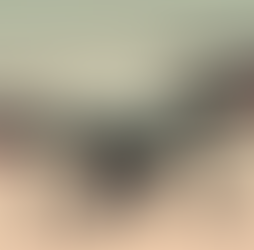 Hong Kong Drone Insurance Ultimate Guide