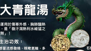 大青龍湯:強效發汗與緩解症狀的神奇方劑