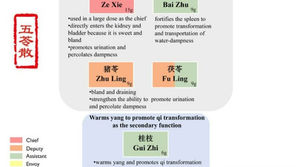 Wu Ling San: A Simple Guide to Relieving Water Retention and Edema