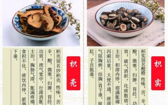 Zhi Shi