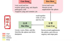 Li zhong Tang: A Warming Remedy for Spleen and Stomach Health