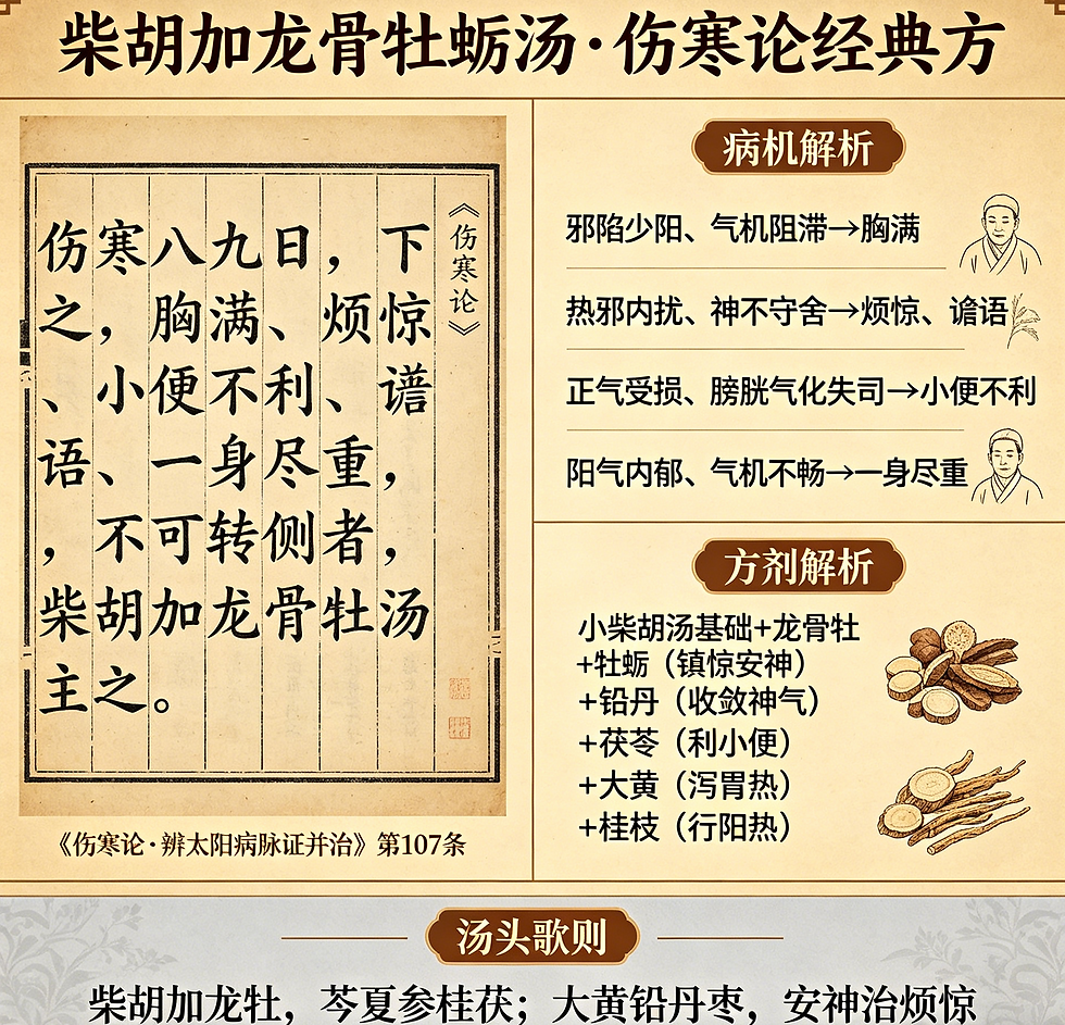 柴胡加龍牡湯:和解少陽、重鎮安神,撫平身心失衡