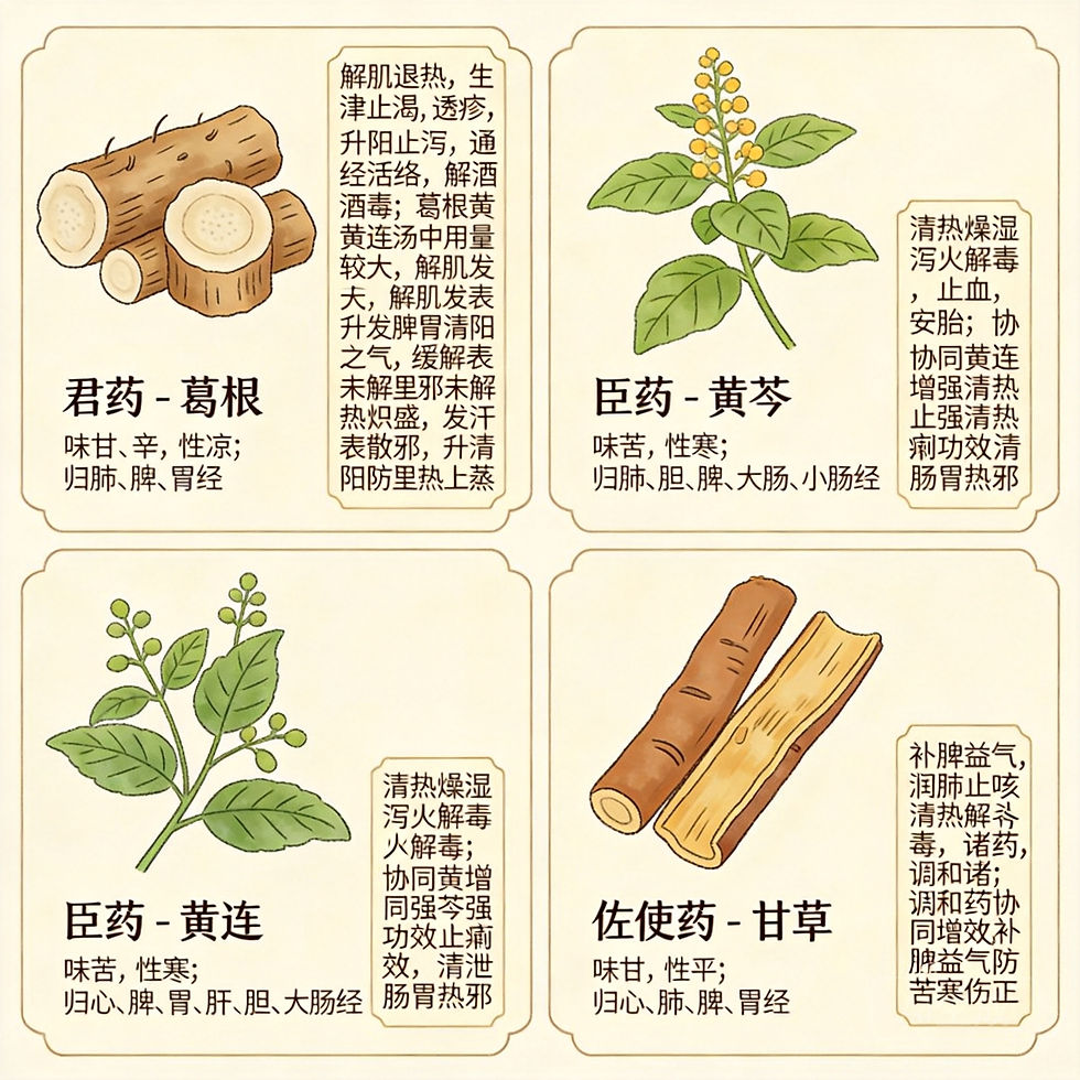葛根黃芩黃連湯