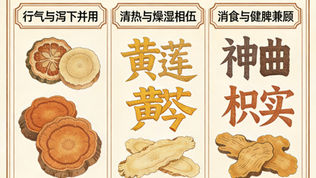 枳實導滯丸