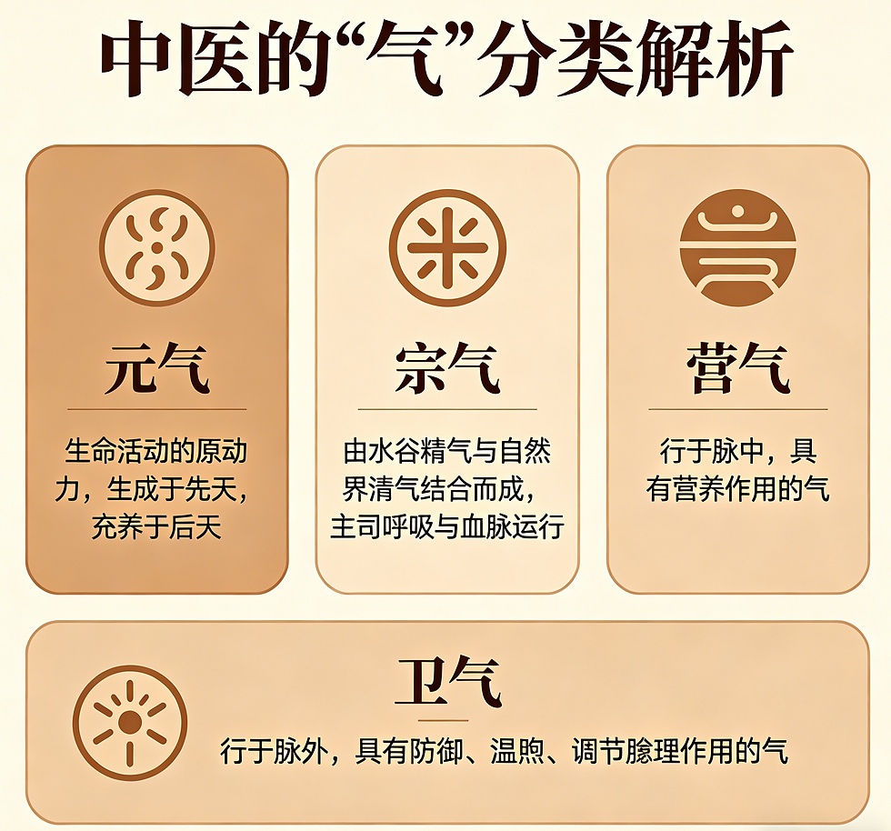 中醫的“氣”,分哪幾種