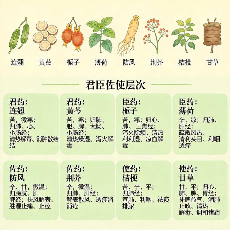 清咽利膈湯：清熱解毒、利咽消腫的經典方劑