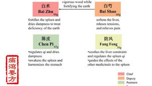 Tong Xie Yao Fang: A Chinese herbal medicine for Painful Diarrhea