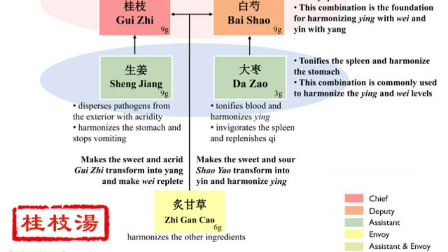 Gui Zhi Tang: A Classic TCM Formula for Cold Relief and More