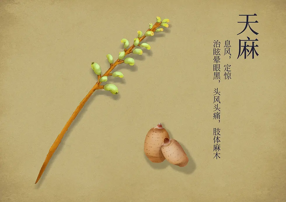 Tian Ma