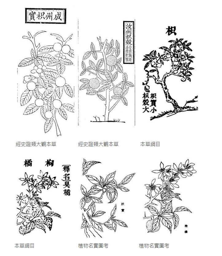 Zhi Qiao