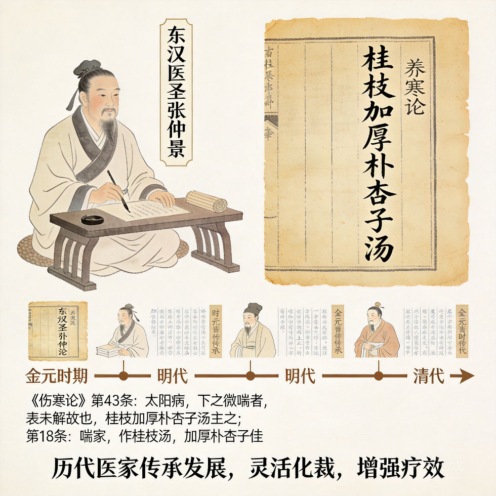 桂枝加厚樸杏子湯:解肌降氣平喘,緩解咳嗽與支氣管炎反覆發作