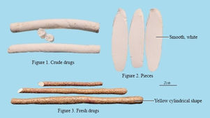 Chinese Yam (Huai Shan)