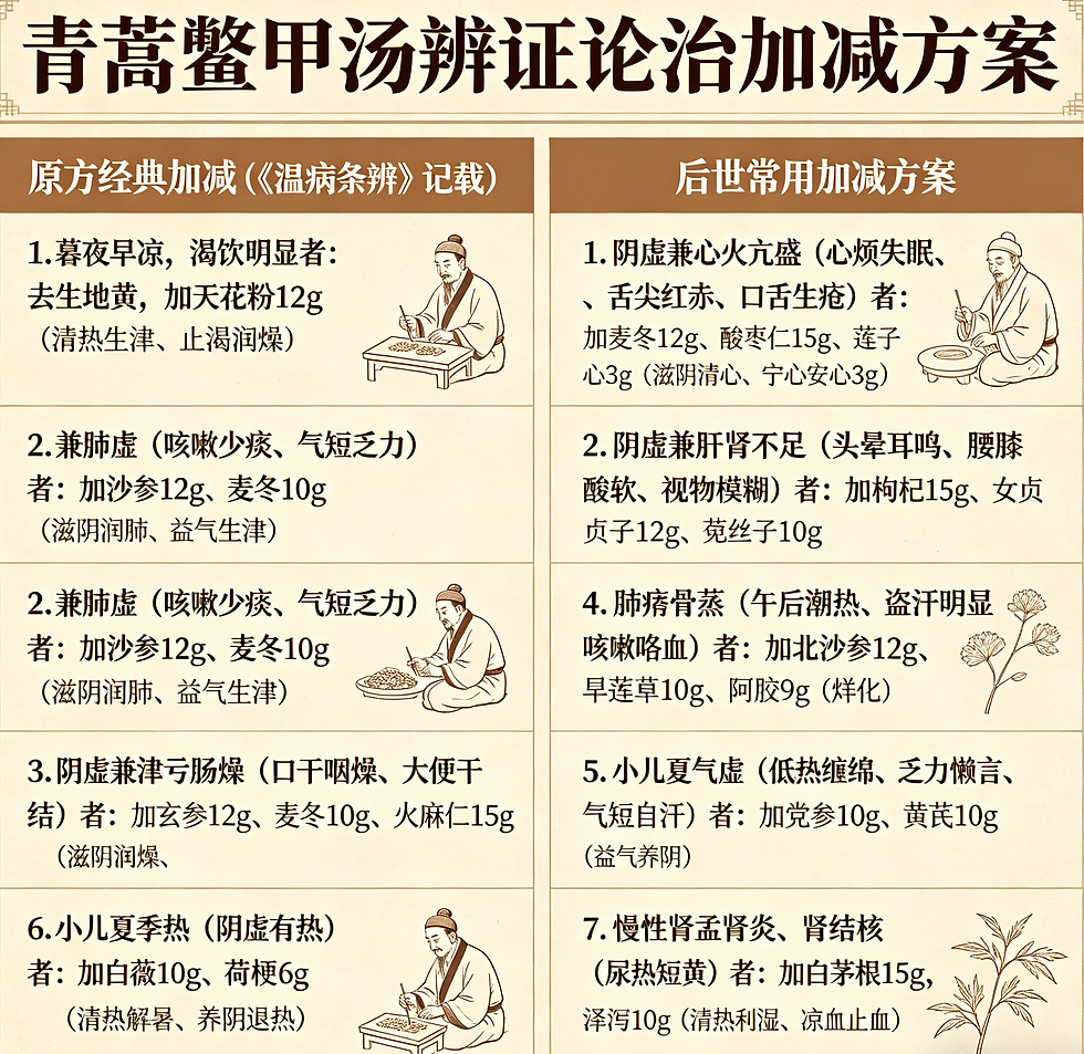 溫病名方青蒿鱉甲湯