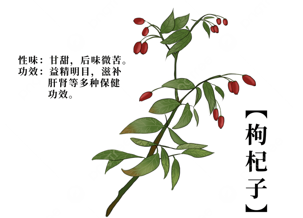 Goji Berry
