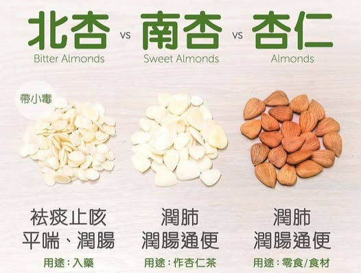Bitter Apricot Seed