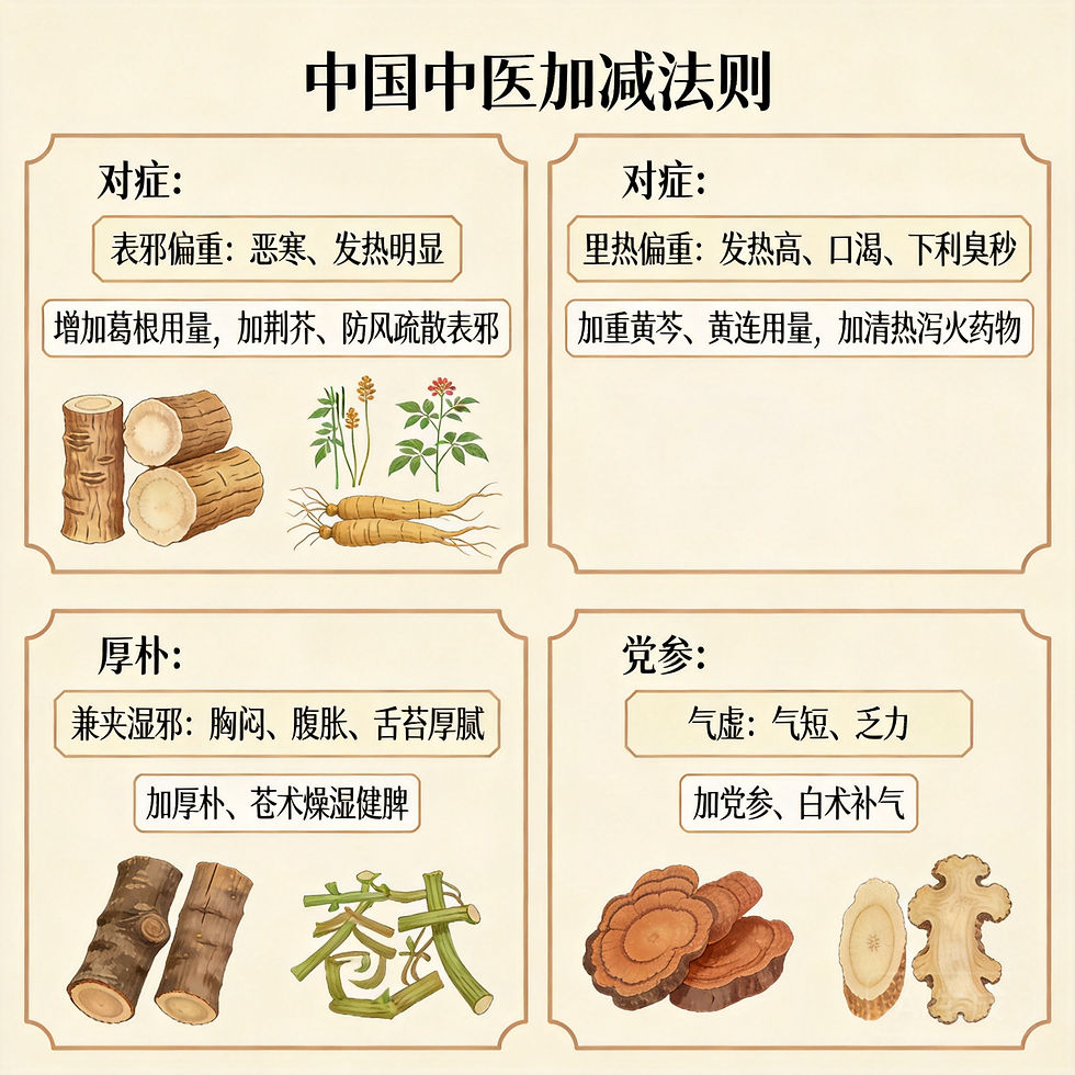 葛根黃芩黃連湯