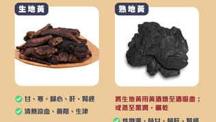 地黃的秘密：從生地到熟地的奇妙轉變與應用