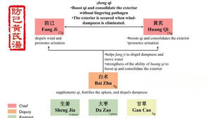 Fang Ji Huang Qi Tang: A Simple Guide to Boosting Energy and Reducing Swelling