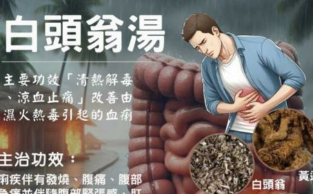 白頭翁湯