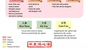 Ban Xia Xie Xin Tang: A Traditional Chinese Herbal Remedy for Digestive Harmony