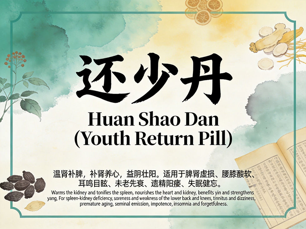 還少丹:補腎填精、延緩衰老的古老中藥方