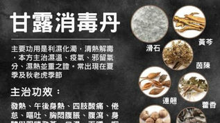 甘露消毒丹:中醫治療濕熱病症的良方