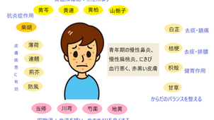 Jing Jie Lian Qiao Tang: A TCM Formula for Clearing Heat, Detoxifying, and Relieving Inflammation