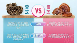 雲芝與靈芝的區別、古今應用、使用禁忌
