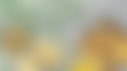 Gui Zhi: Warming Meridians, Relieving Pain, and Supporting Vitality