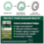 Health Lab白藜蘆醇(反式)400 毫克,60 粒2