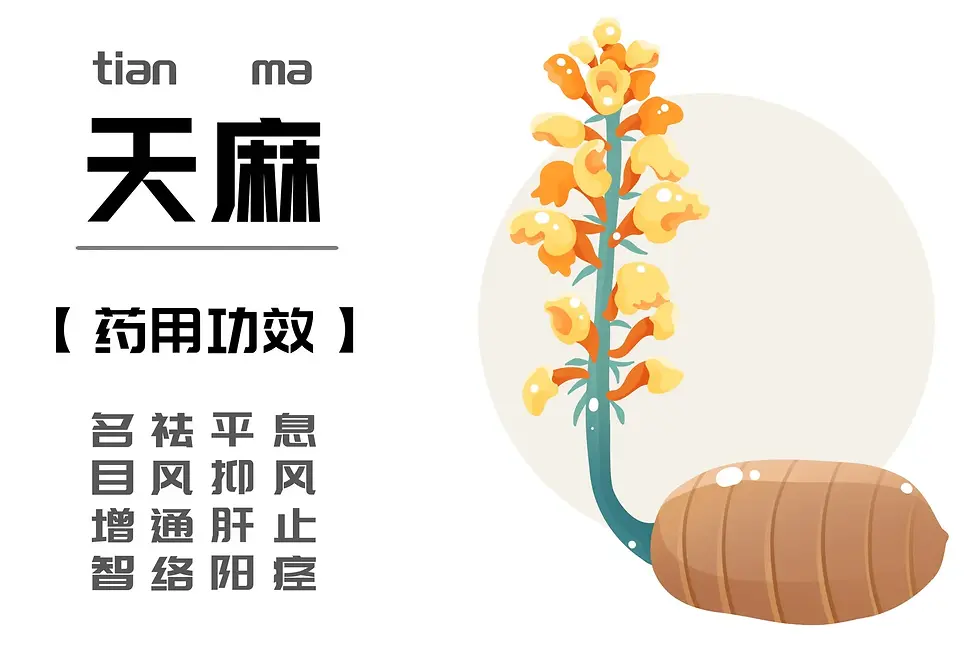Tian Ma