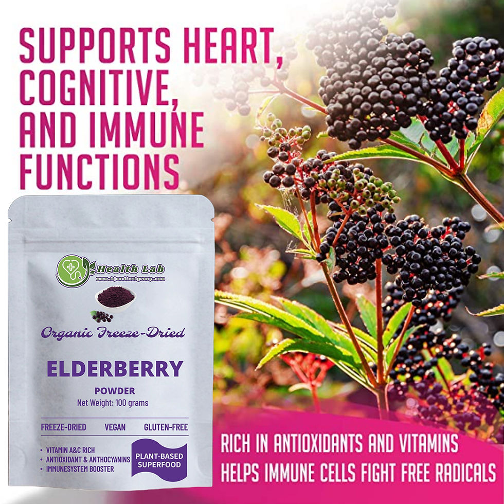 Health Lab 超級食物 - 有機接骨木粉(100克)富含花青素 抗氧化 增強免疫系統