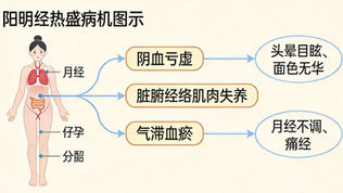 四物湯:補血和血的經典中藥方劑