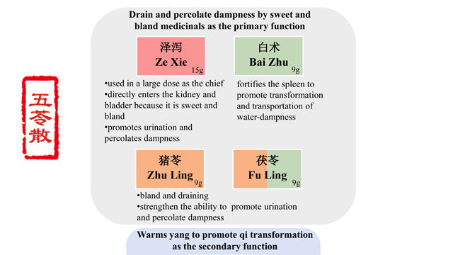 Wu Ling San: A Classic TCM Formula for Fluid Balance and Edema Relief