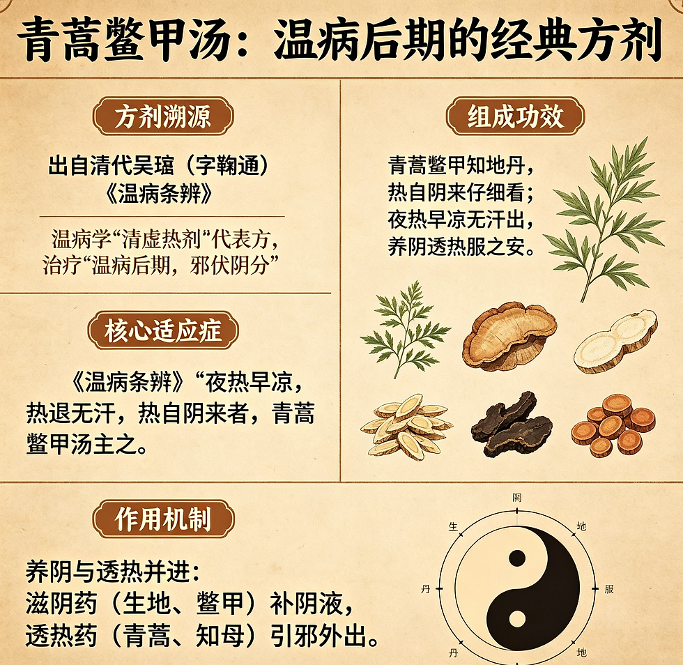 溫病名方青蒿鱉甲湯