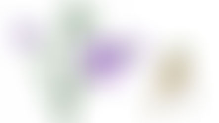 Jie Geng: Clearing Phlegm and Soothing the Throat in Traditional Chinese Medicine