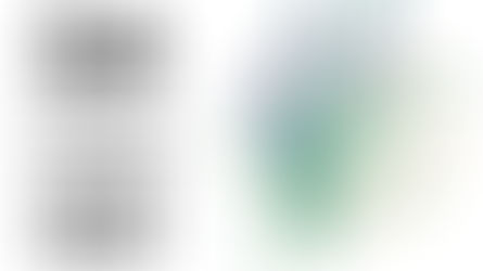 中藥知母:清熱滋陰,潤燥降火