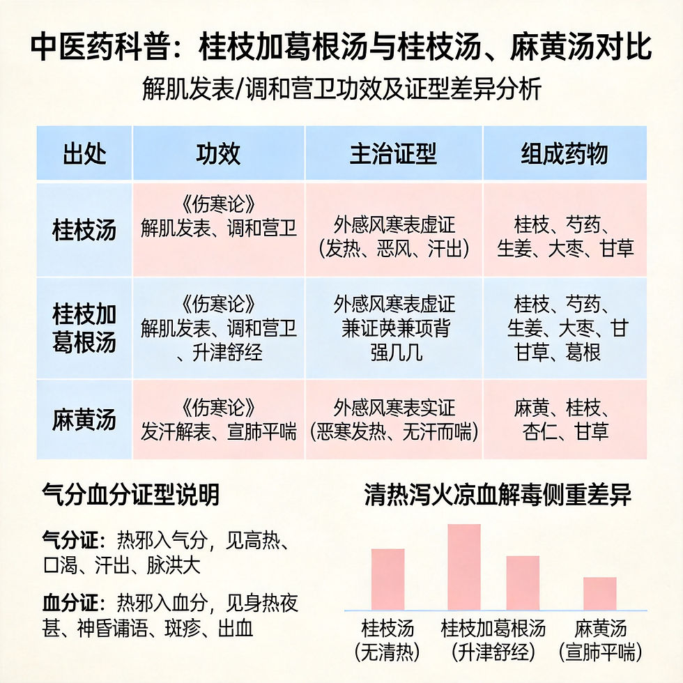 桂枝加葛根湯