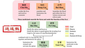 Xiao Yao San: A Simple Guide to a Liver-Soothing, Mood-Lifting Herbal Formula