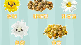 菊花