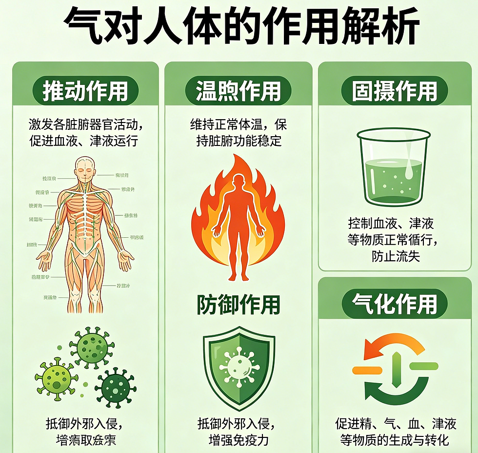 氣對人體,到底有什麼作用