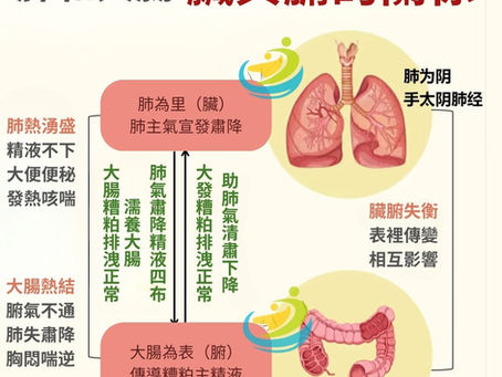 The lungs and large intestine are related to each other: the relationship between viscera and bowels